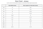 All Sport Sublimated Reversible Jersey